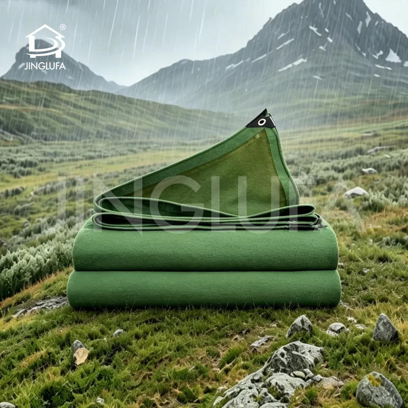 Heavy-Duty Brushable Silicone Coated Canvas